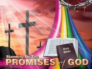 God's Promise2