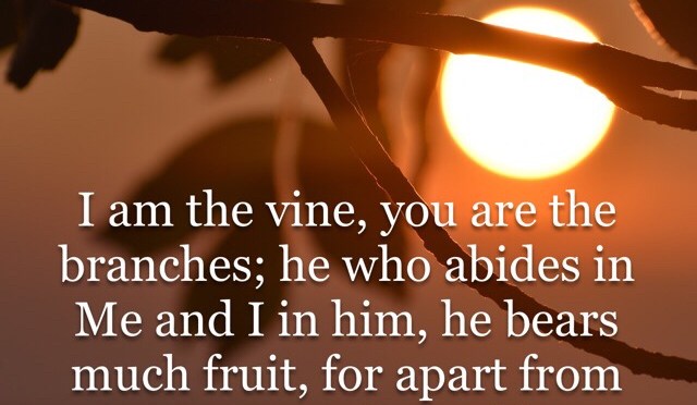 The Lie Of A Misrepresented Truth