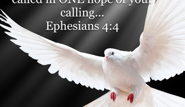 A Word for Today: ONE