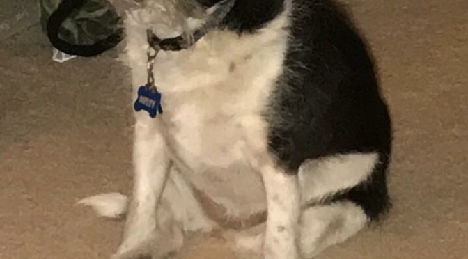 Better to Go Willingly