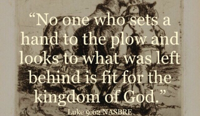 Forward Goes the Row