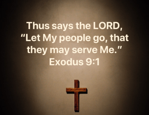 Our Mission is Freedom