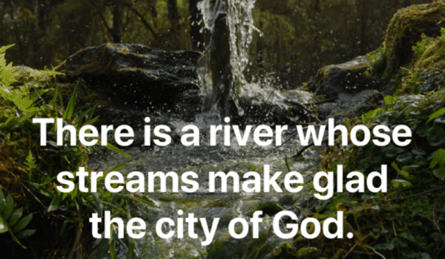 The River’s Streams