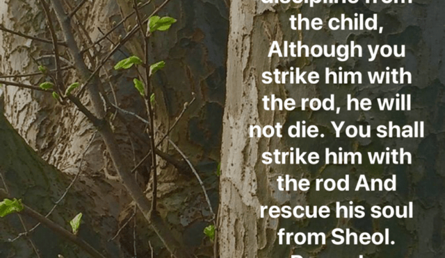 The Vital Need of the Rod of Discipline